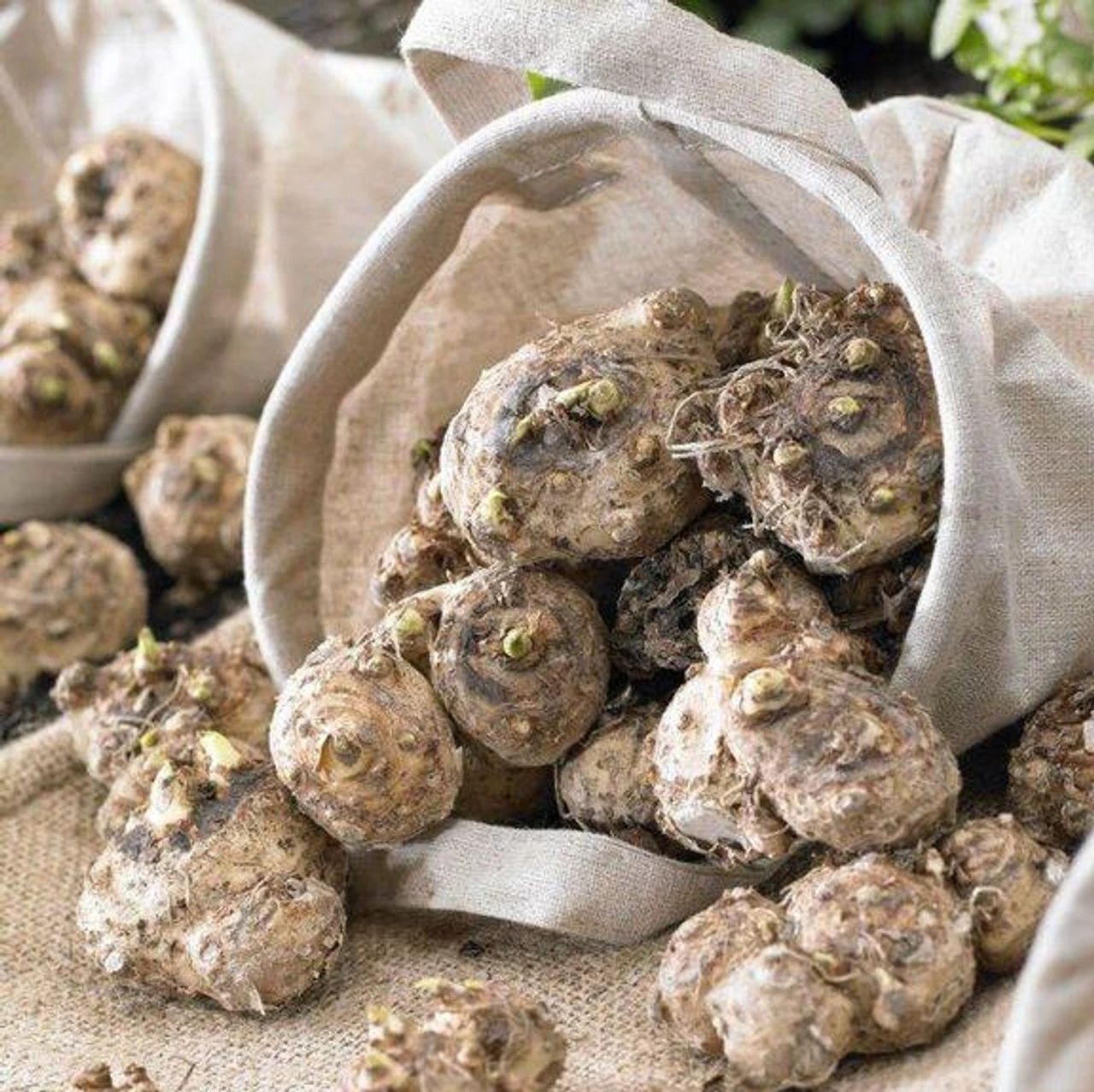 Calla Lily Gold Crown - Image 4