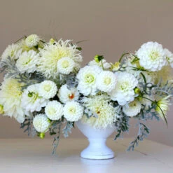 Dahlia Assorted Flirty Fleurs Lucerne Collection